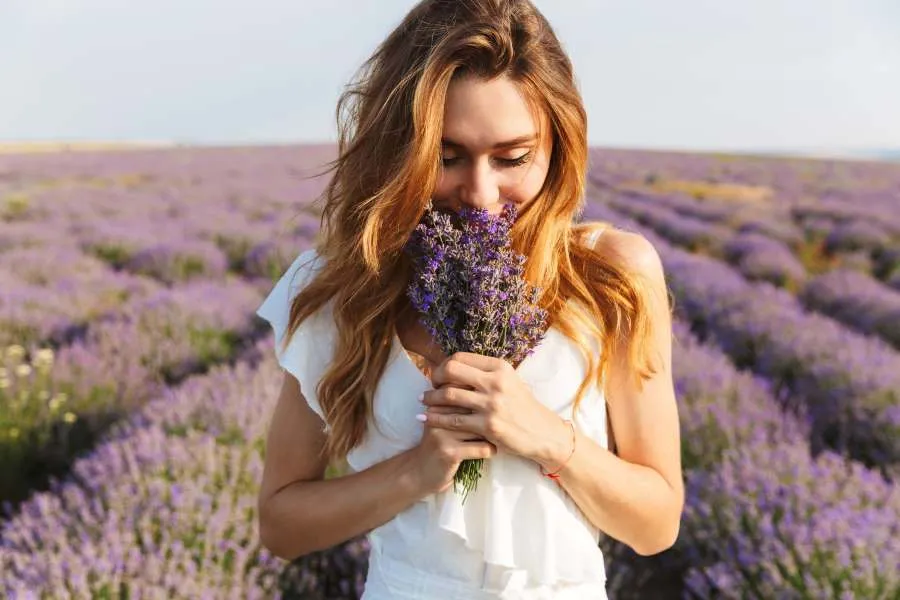 woman in lavender field smelling flowers